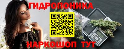 ешки Гатчина