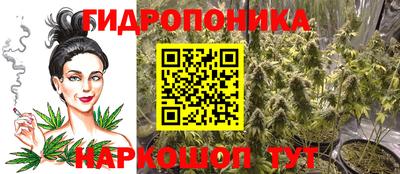 ГАЛЛЮЦИНОГЕННЫЕ ГРИБЫ Гай